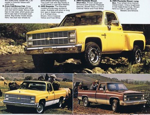 1983 Chevrolet Full Size Pickups (Cdn)-03.jpg